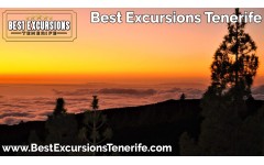 Night Skies Tenerife Stargazing Experience (With Dinner)